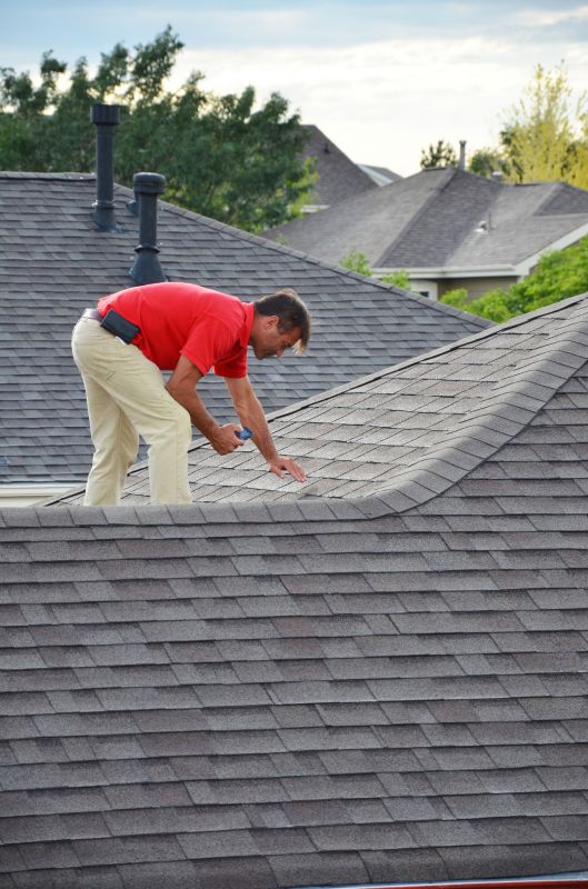 Shingle Inspection Service